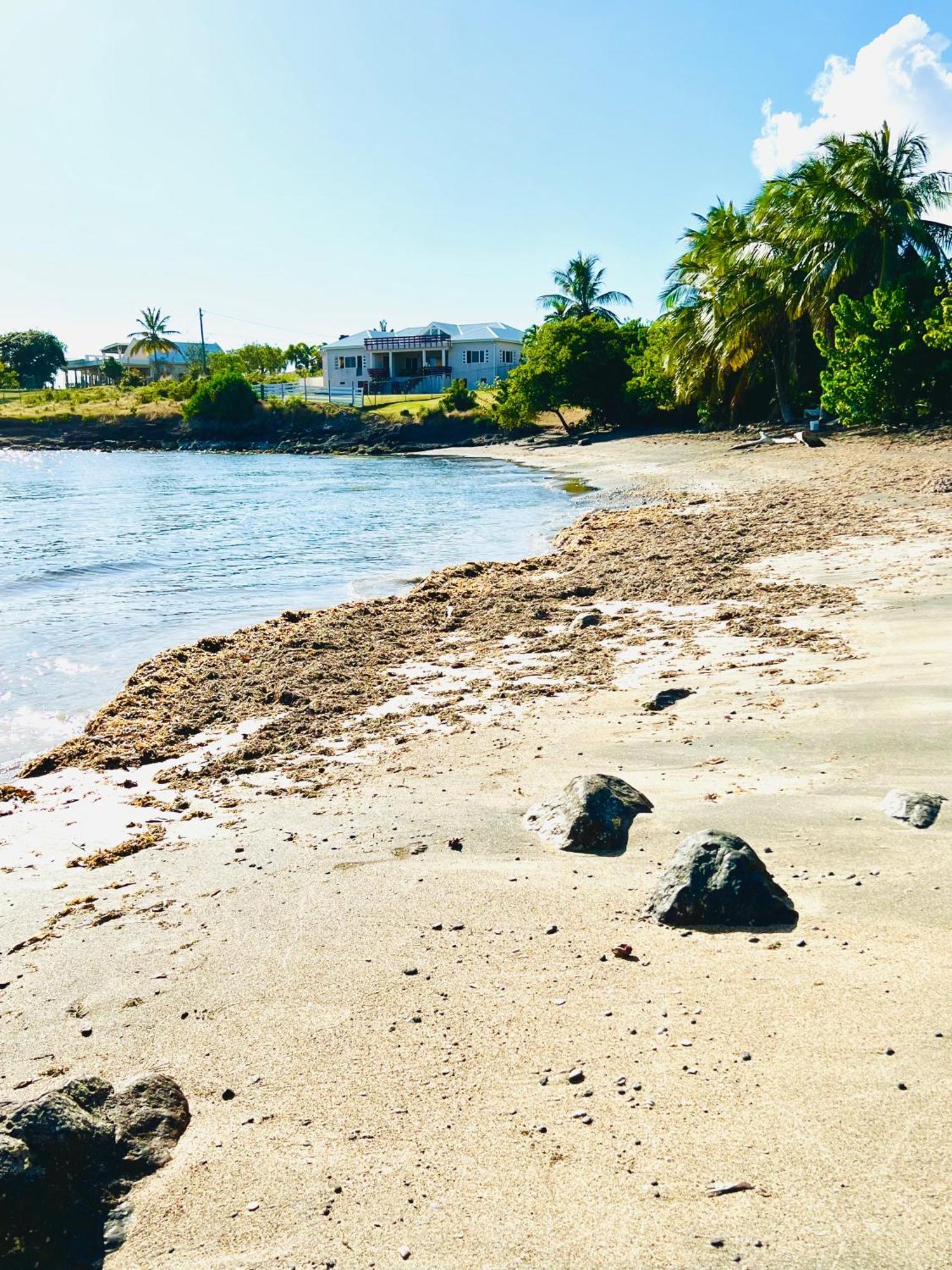 Sealavie Apartments - Grenada St. George's Buitenkant foto
